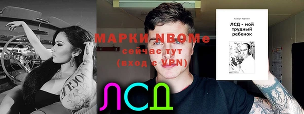 сатива Абинск