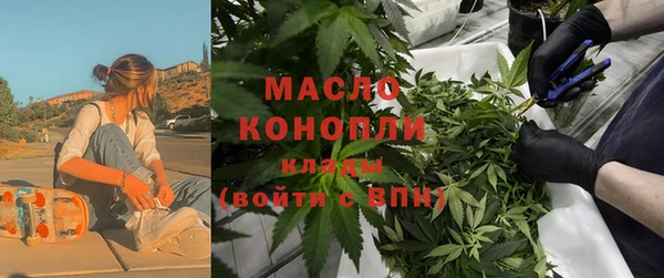 сатива Абинск
